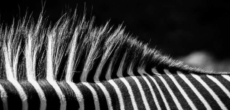 Dare to be rare! – Rare Disease Day 2024